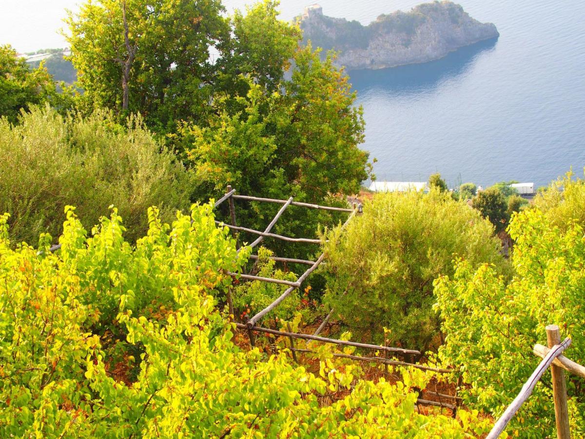 Apartamento Giardino Sul Mare Amalfi Exterior foto